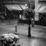 Castle Market Road from the Powerscourt entrance