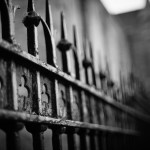 Shamrocks in the fence of a Stoneybatter Church